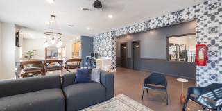 Canter Chase Gallery 4