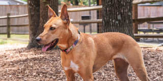 The Ashberry Gallery 20