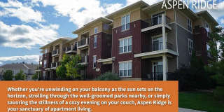Aspen Ridge Gallery 3