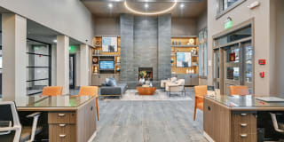 The Standard Gallery 4