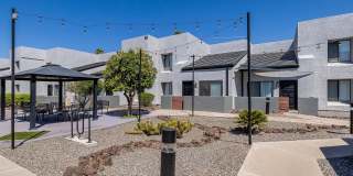 Lion Tempe Gallery 4