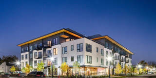 Riverline Gallery 37