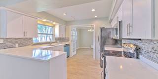 South Tampa single family Gallery 29