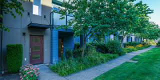 14671 36th Court Northeast Gallery 1