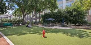 Everra Midtown Park Gallery 19