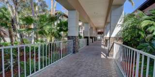 11073 Harbour Springs Circle Gallery 50