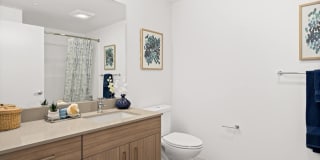 Colina Gallery 11