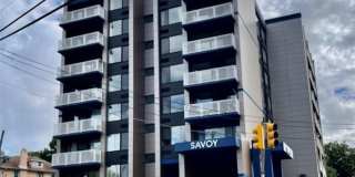 464 Gorge Road Gallery 2