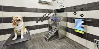 Camden Lincoln Station Gallery 35