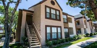 Citi Lights Apartment Homes Gallery 7