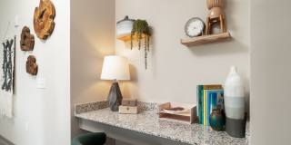 Vital at Springbrook Apartments Gallery 14