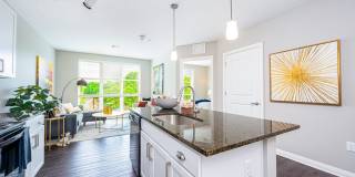 River & Rich Gallery 2