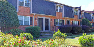 Maple Bay Gallery 17