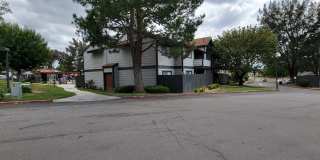 Dove Ridge Gallery 5
