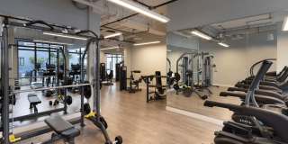 The Upland Gallery 23