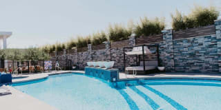 Tanager Tanager Gallery 4