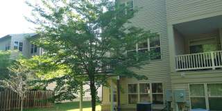 Gorgeous End Unit Garage Townhome In Brambleton for Rent! Gallery 48