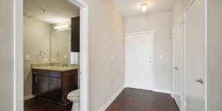 COLE COLE Gallery 39