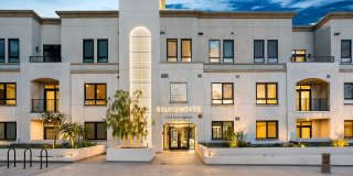 Silhouette Gallery 38