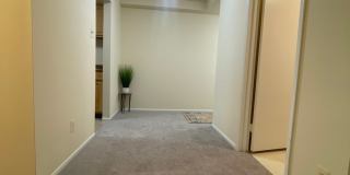 Northgate Gallery 75