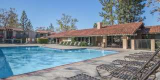 McComber Creek Gallery 35