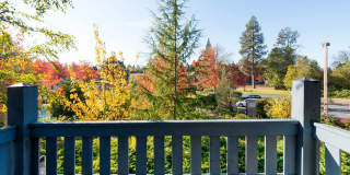 Audubon Square Gallery 14