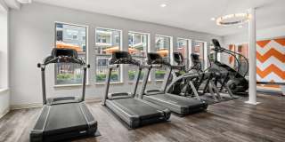 Olympus Las Colinas Gallery 48