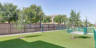 Quadrangles on Twenty Gallery 5