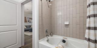 Arlow at Blue Ridge Gallery 16