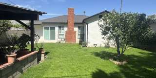 6239 Cleon Avenue Gallery 11