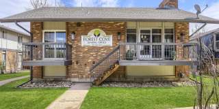 Forest Cove Gallery 8