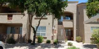 29606 N TATUM Boulevard Gallery 1