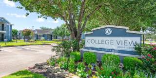 College View Apartments Gallery 53