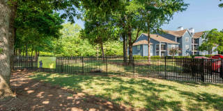 Avenues at Steele Creek Gallery 7