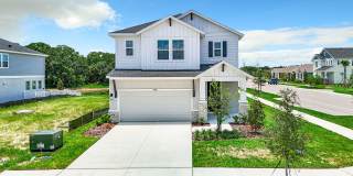 Wesley Chapel, Florida Executive home Gallery 1