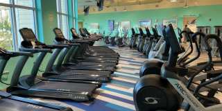 533 Margaritaville Avenue Gallery 42