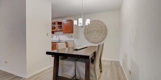 International Village Gallery 2