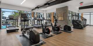 The M at Shadow Mountain Gallery 17