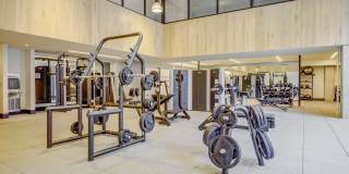 The George Gallery 33