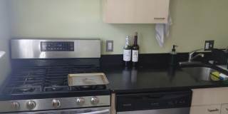 Nicely renovated 3 bed near BU for September 1! Gallery 1