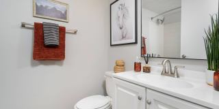 Steeplechase Gallery 25