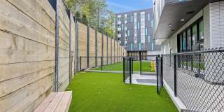 Adara at Totem Lake Gallery 19