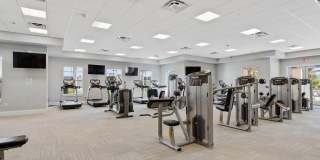 2951 Citrus Street Gallery 43