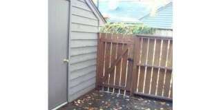 904 Persimmon Place Gallery 13