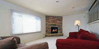 Wonderful 3 Bed 2 Bath Townhome in Little Canada Gallery 1