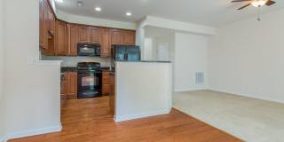 473 Panorama View Loop Gallery 5