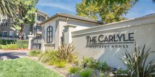 The Carlyle Gallery 18