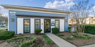 Compass Vista Gallery 7