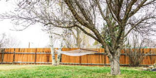 Cozy Gem,Dog-Friendly, Near Outdoor Escapes Gallery 43