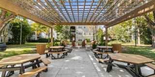 Milestone Gallery 15